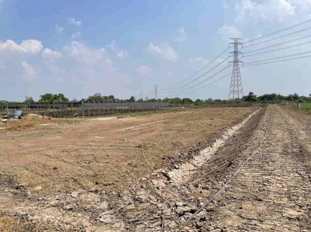 ��·��Թ �͹��� ��û��