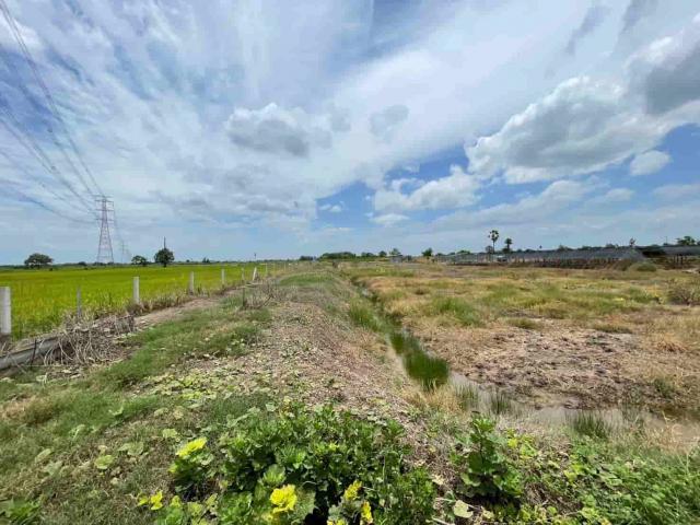 ��·��Թ �͹��� ��û��