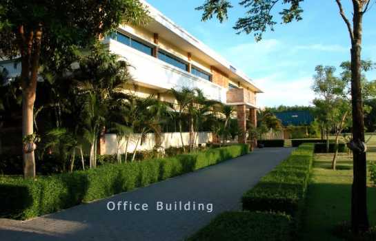 ����ç�ҹ �ŧ���ͧ