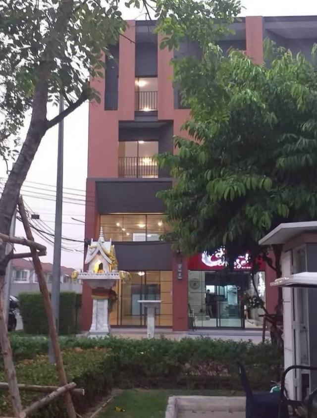 �Ҥ�þҳԪ��