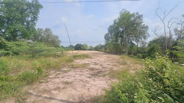 ที่ดิน ที่ดิน