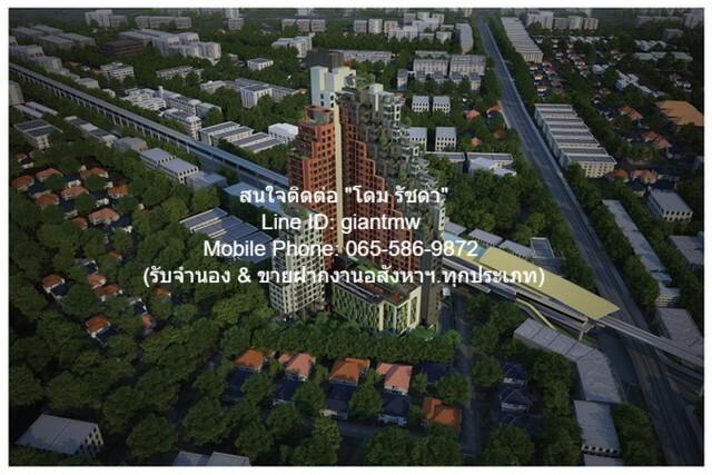 คอนโด ขนาดใหญ่ คอนโด ขนาดใหญ่