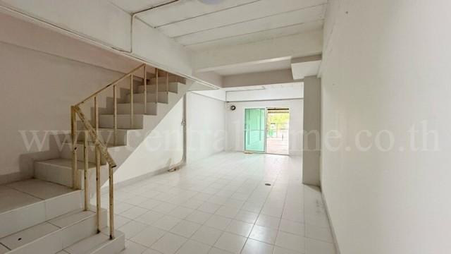 ��ǹ�����ѧ�Ե ���١��