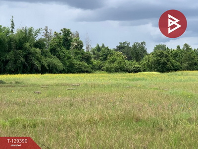 ที่ดิน ที่ดิน