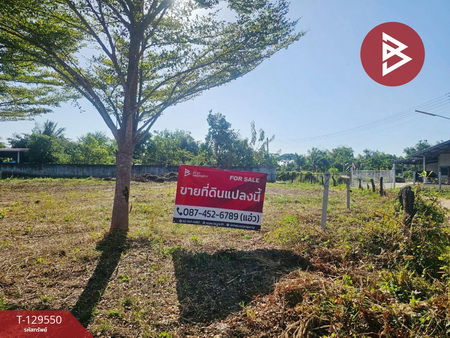 ที่ดิน ที่ดิน