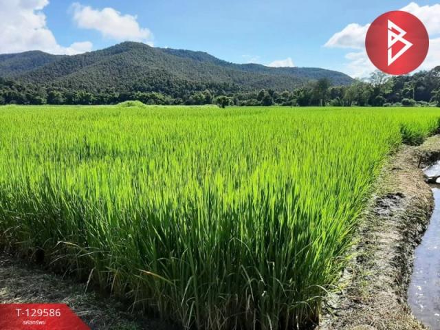 ที่ดิน ที่ดิน