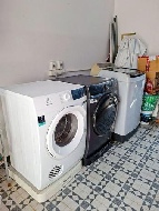 ��ҹ 50 ���ҧ���ѹ���� ��§����