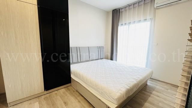 ��¤͹� �ҧ�����طû�ҡ��