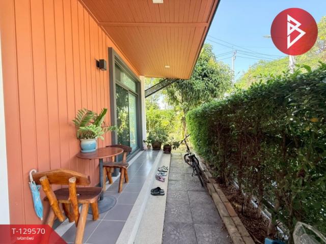 ��º�ҹ����� �ҧ��Ƿͧ�������