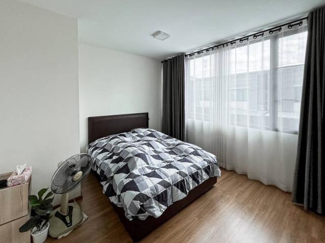 ��ǹ�������