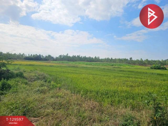 ���Թ �ӹ�