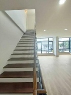 ⡴ѧ 50 ���ҧ�Һҧ�˭� �������