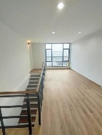 ⡴ѧ 50 ���ҧ�Һҧ�˭� �������