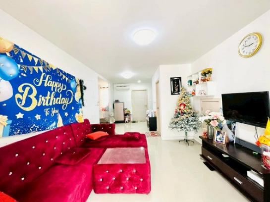 ��º�ҹ �ҧ��Ƿͧ �������