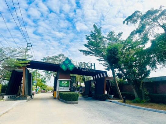 ��º�ҹ �ҧ��Ƿͧ �������