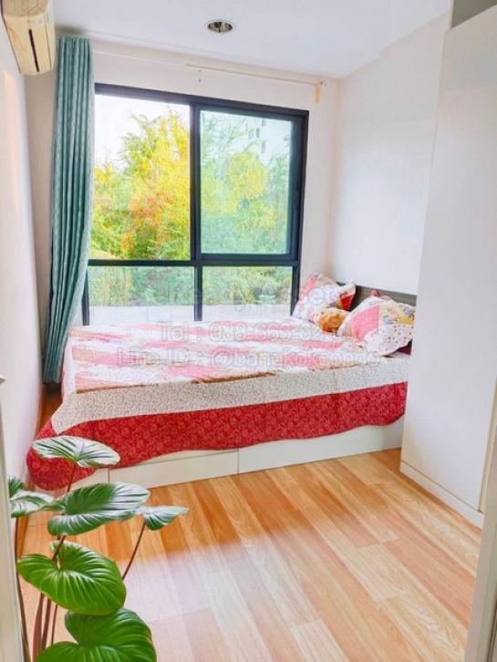 คอนโด คอนโด