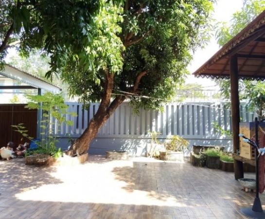 ����Ϳ������º��ǹ����Թ��� �Ҵ�����