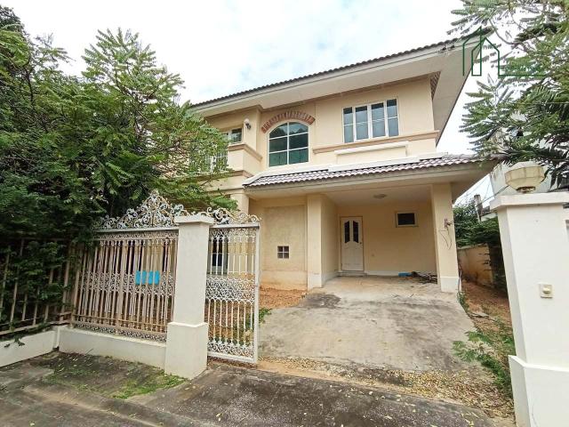 ��ҹ�����