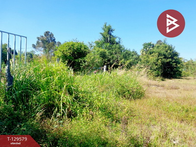 ��·��Թ ���ͧ�شøҹ� �شøҹ�