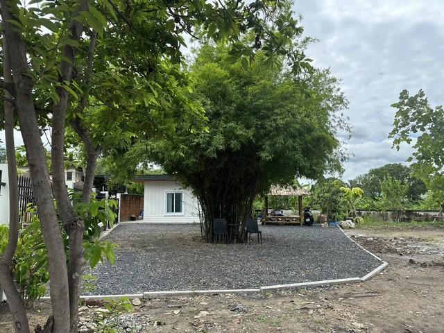 ��·��Թ �ҧࢹ��ا෾