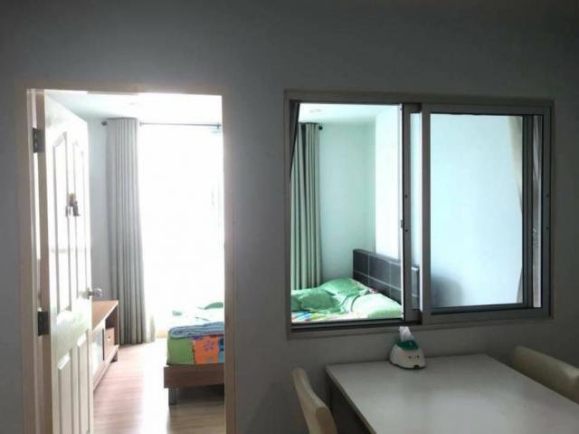 ��¤͹� �ҧ�л�