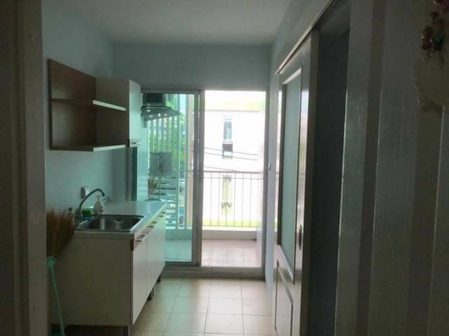 ��¤͹� �ҧ�л�