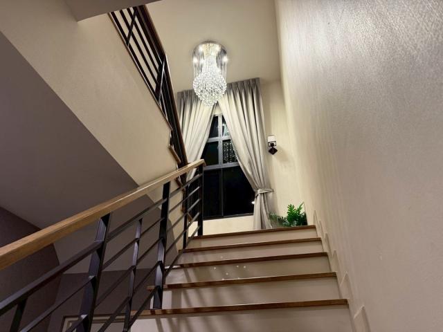 ��ҹ������ �ҧ�ع��¹