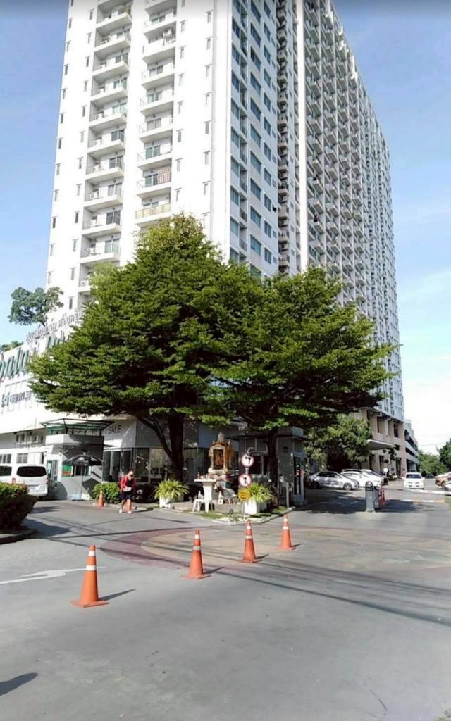 �͹������� ������