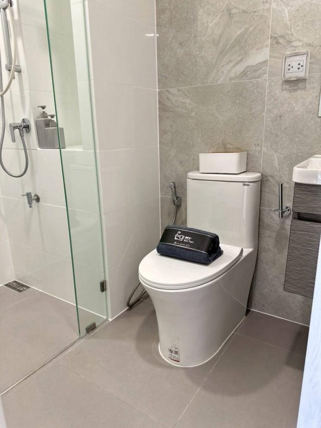 �͹������� �ҧ�л�