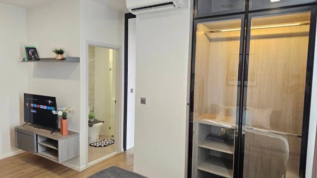 �͹������� �ҧ�л�