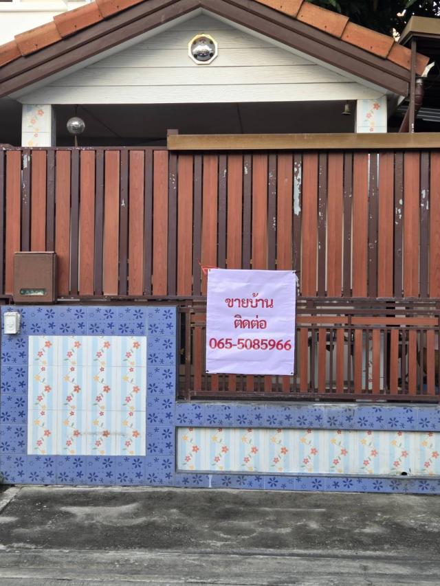 ��ҹ�����