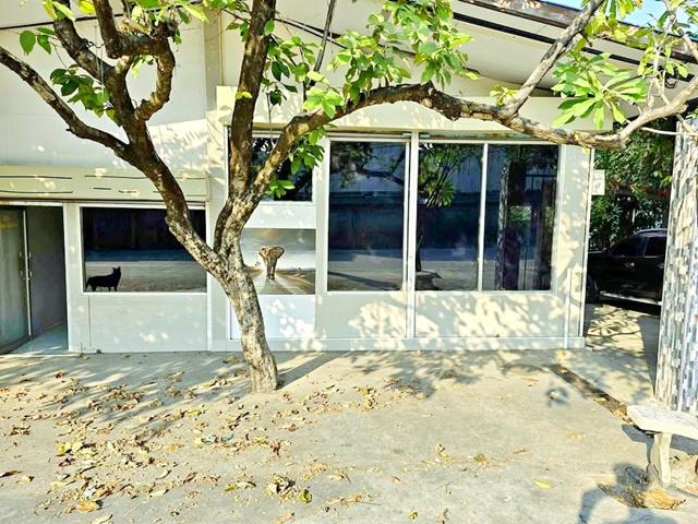 ��ҹ Built in/6/3/4/7/10/9/8/7