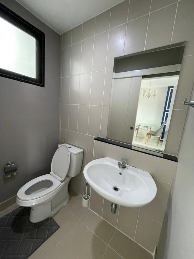 ��ǹ�������觾�������� ������