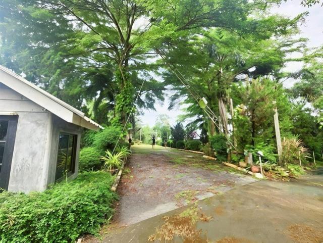 ��ҹ������ ���ͧ