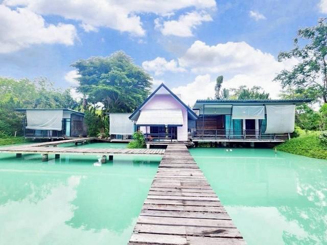 ��ҹ��������� ���ͧ