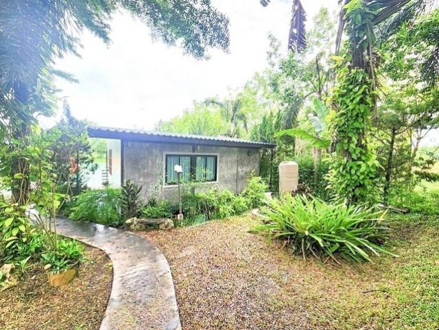 ��ҹ��������� ���ͧ