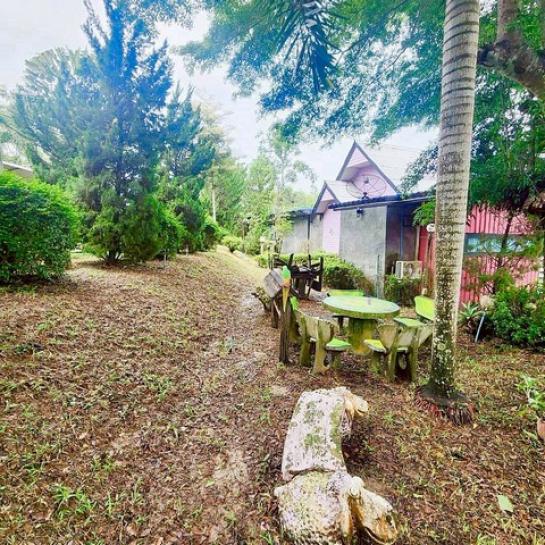 ��ҹ��������� ���ͧ