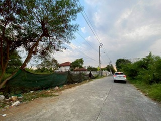 ���Թ������ �ҧ�