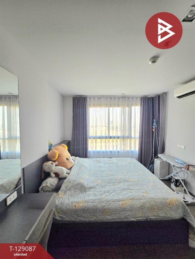 ��¤͹� ����