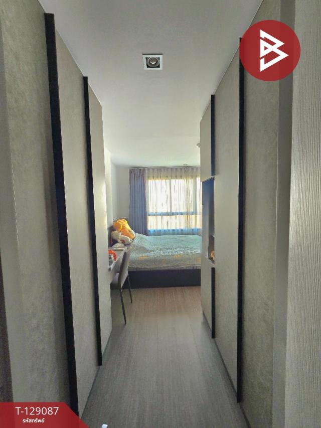 ��¤͹� ����