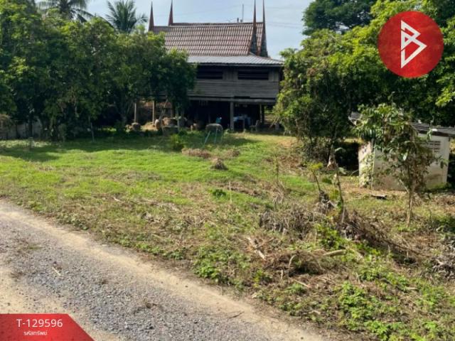 ที่ดิน ที่ดิน