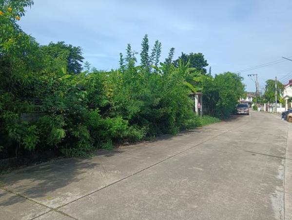 ที่ดิน ที่ดิน