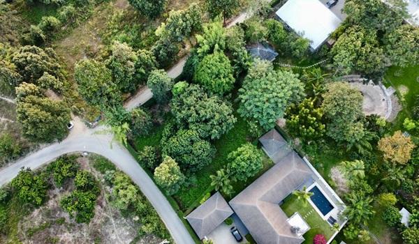 ที่ดิน ที่ดิน