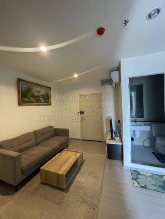 �͹������� ������ԭ