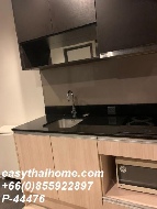 �͹� �Ѳ��