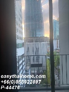 ��¤͹� �Ѳ��