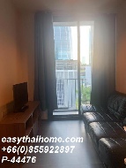 �͹� �Ѳ�� 31 ���ҧ����