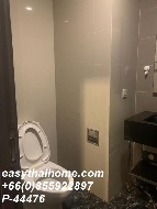 �͹� 31 ���ҧ����