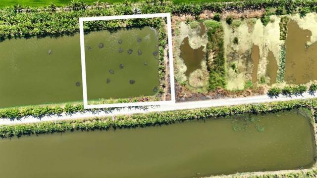 ��·��Թ �ҧ��Ҹ���طû�ҡ��