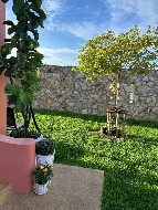 ��ҹ 80 ���ҧ�Һҧ���ا �ź���